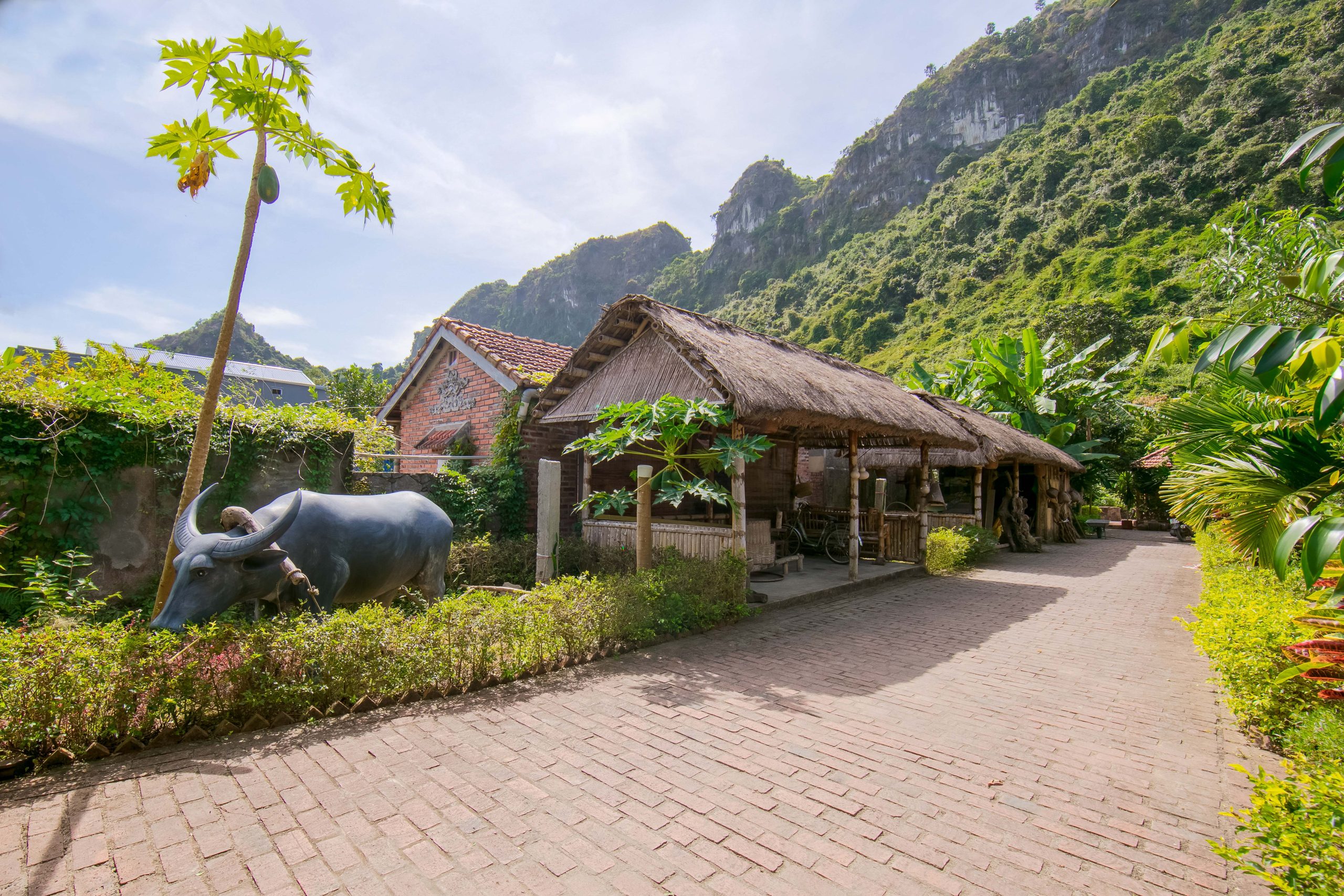Lan Homestay garden in Viet Hai Village with limestone karst mountains