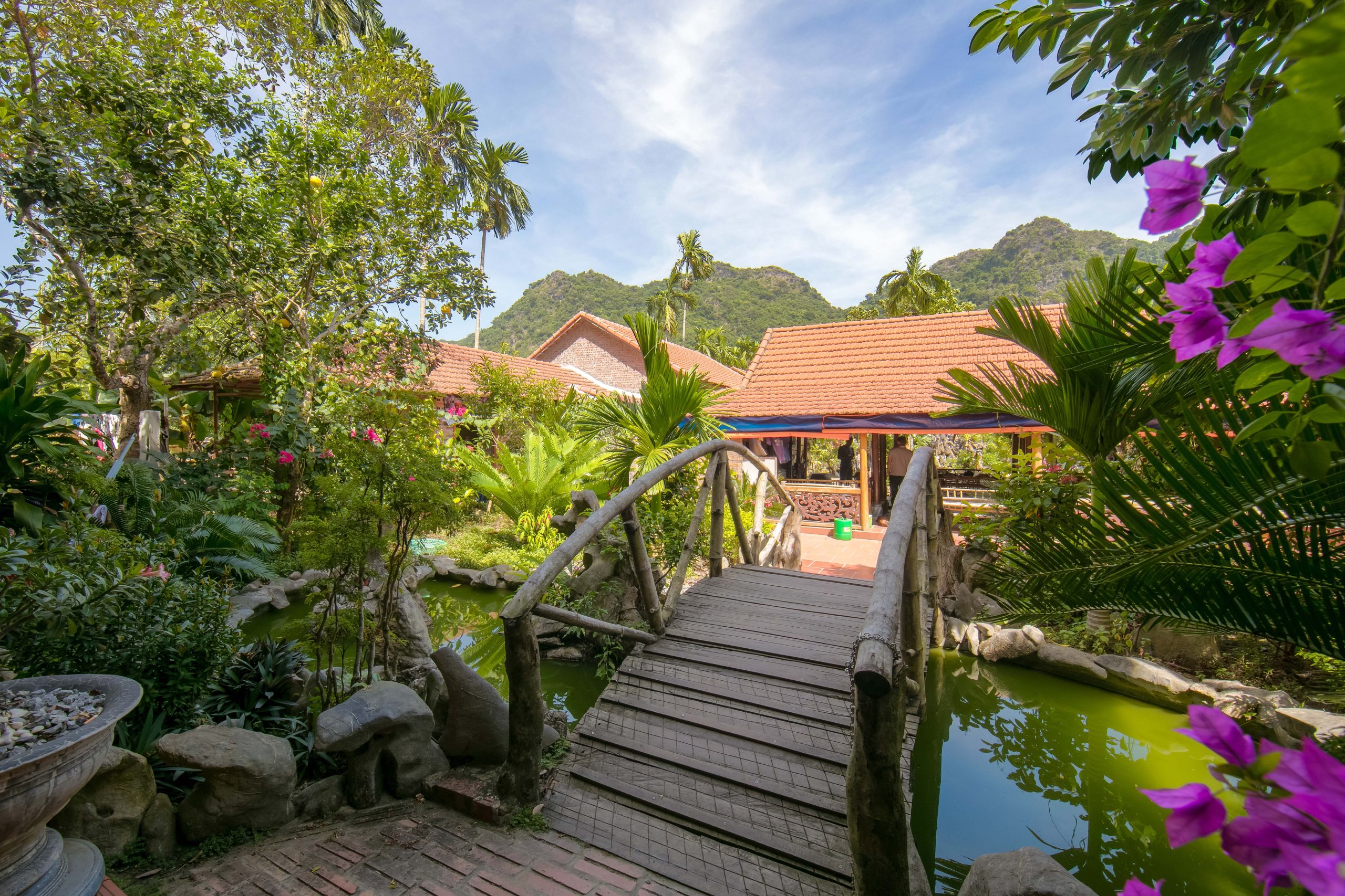 Garden path with tropical plants leading to homestay buildings with red tiled roofs, Cat Ba