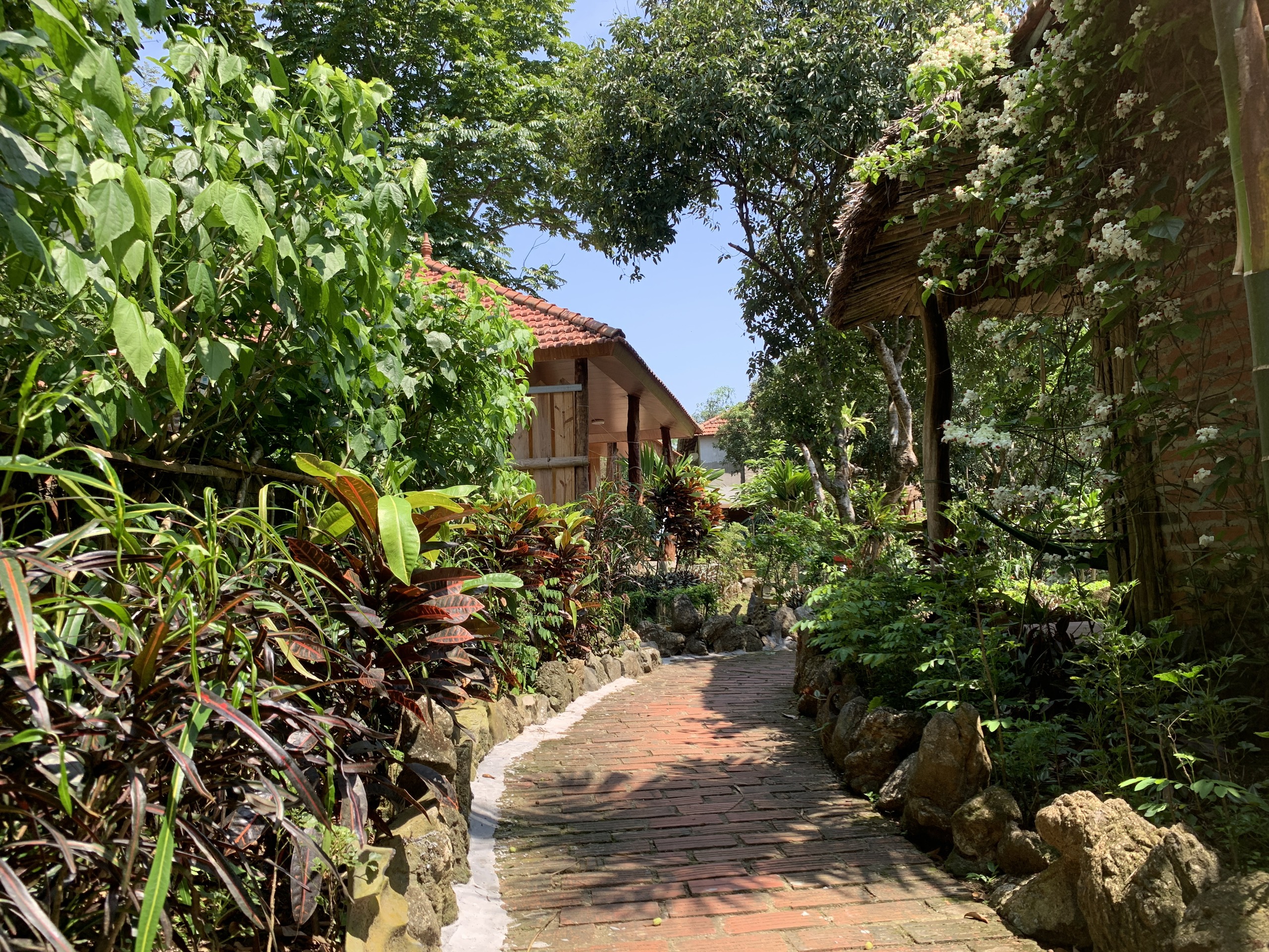 Garden path with tropical plants and flowers at a homestay in Viet Hai village, Cat Ba