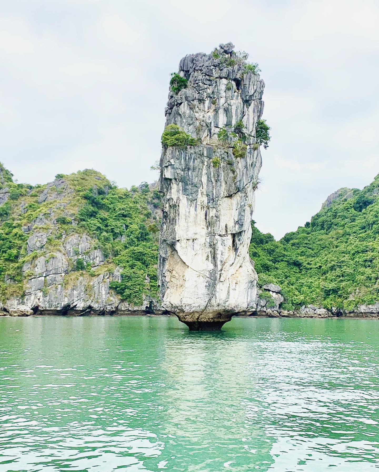 Tall limestone cliff covered in vegetation rising above the water in Lan Ha Bay