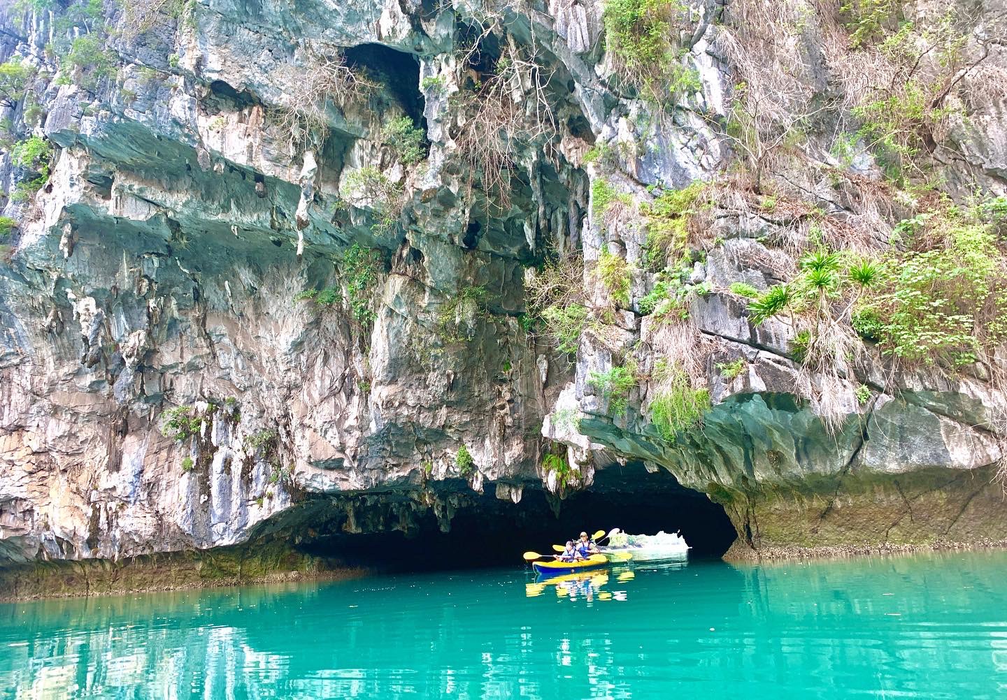 Limestone cliff with a cave opening rising out of the water in Lan Ha Bay, the kind of habitat Cat Ba langurs use