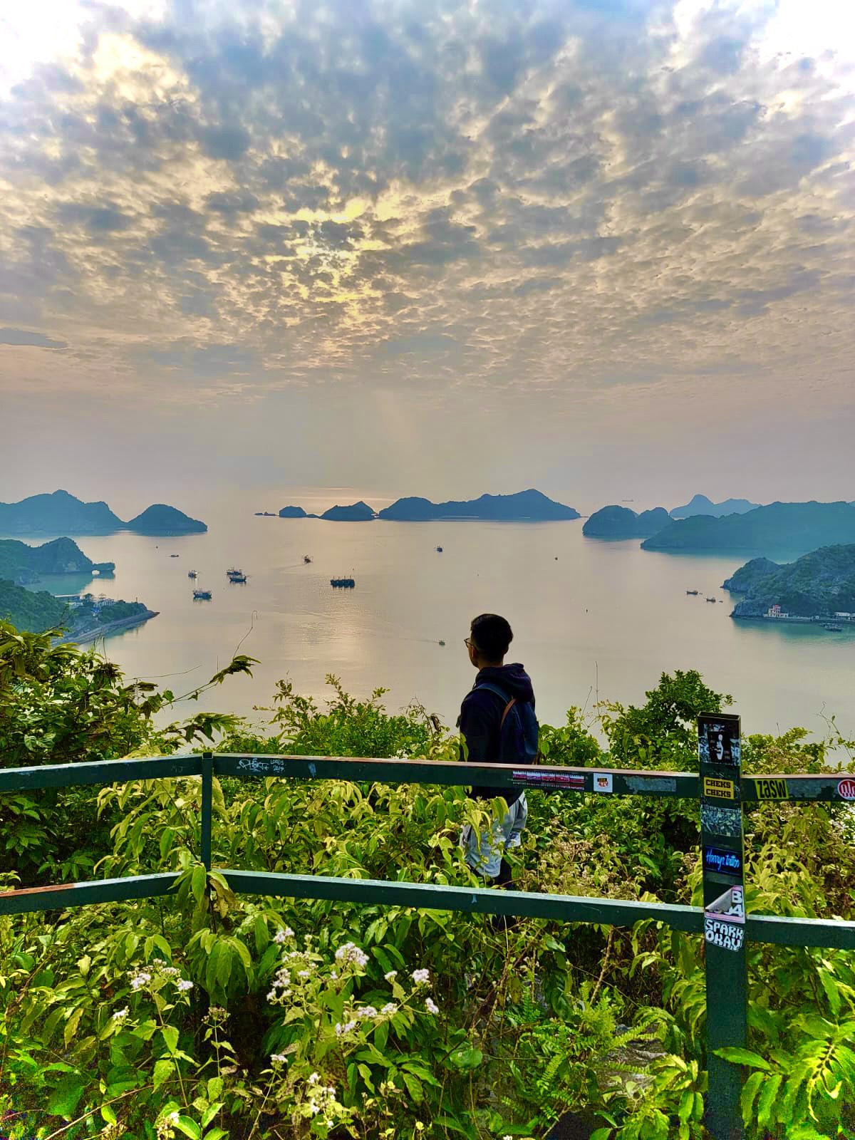 Limestone karsts and green water seen from a quiet viewpoint on Cat Ba Island