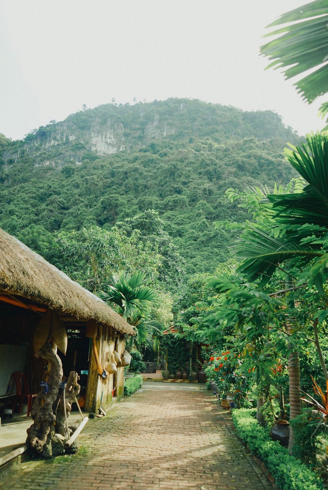 Thatched-roof bungalow among trees at a family homestay in Viet Hai village, Cat Ba
