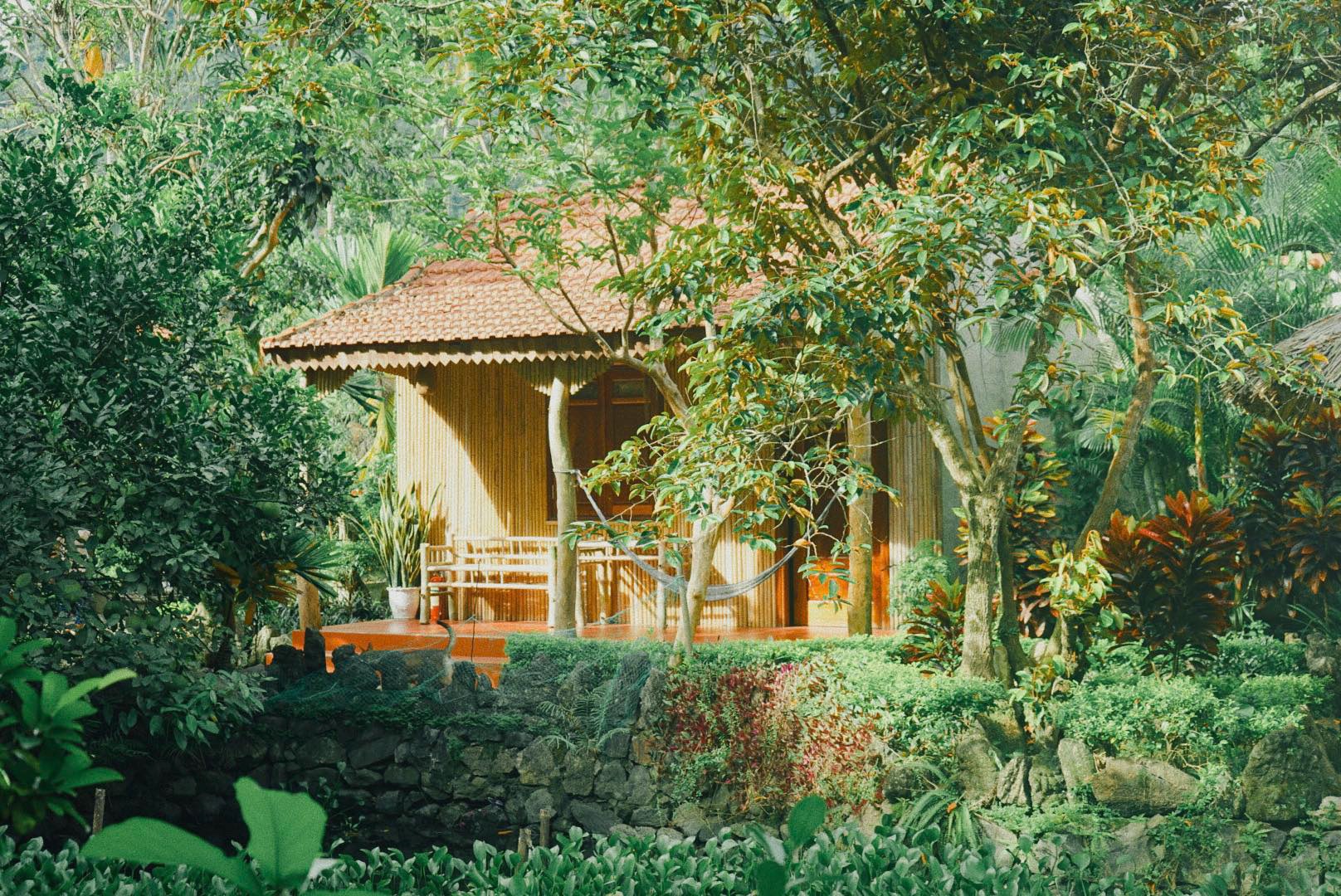 Wooden bungalow with thatched roof surrounded by tropical garden at a homestay in Viet Hai