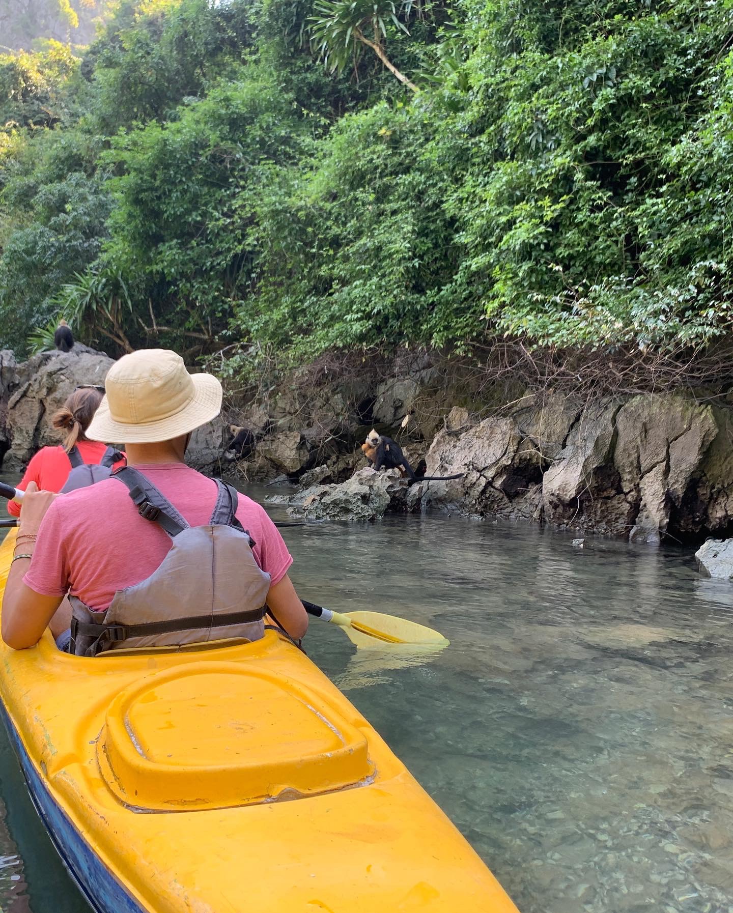 Woman paddling a kayak alone through calm green water beside limestone cliffs in Lan Ha Bay
