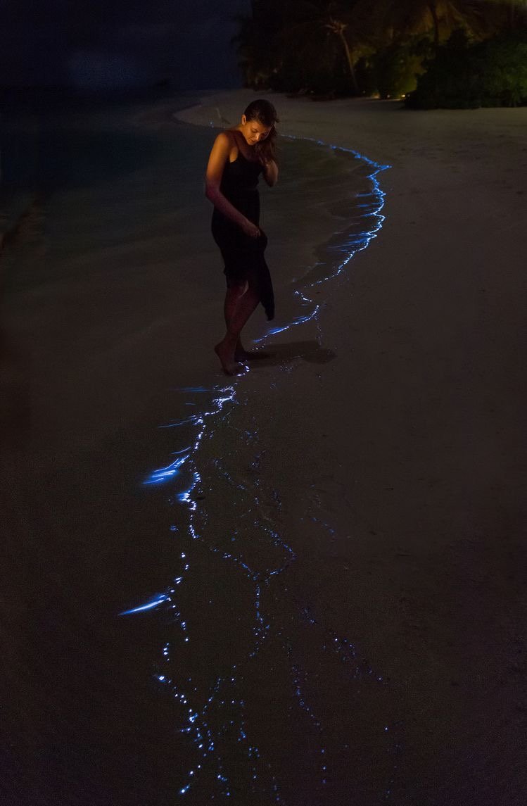 Person walking along the shoreline of a quiet beach at dusk on Cat Ba Island