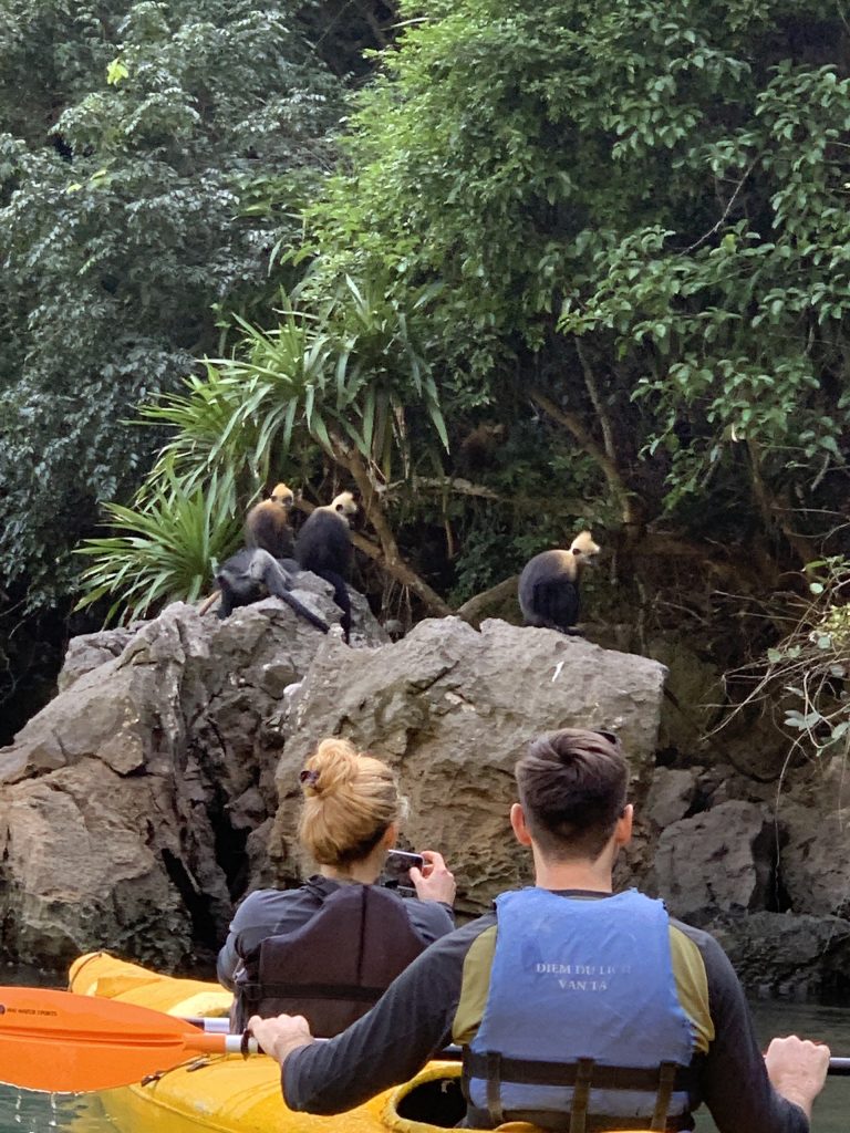 Kayaks and limestone islands on a full-day Lan Ha Bay boat tour