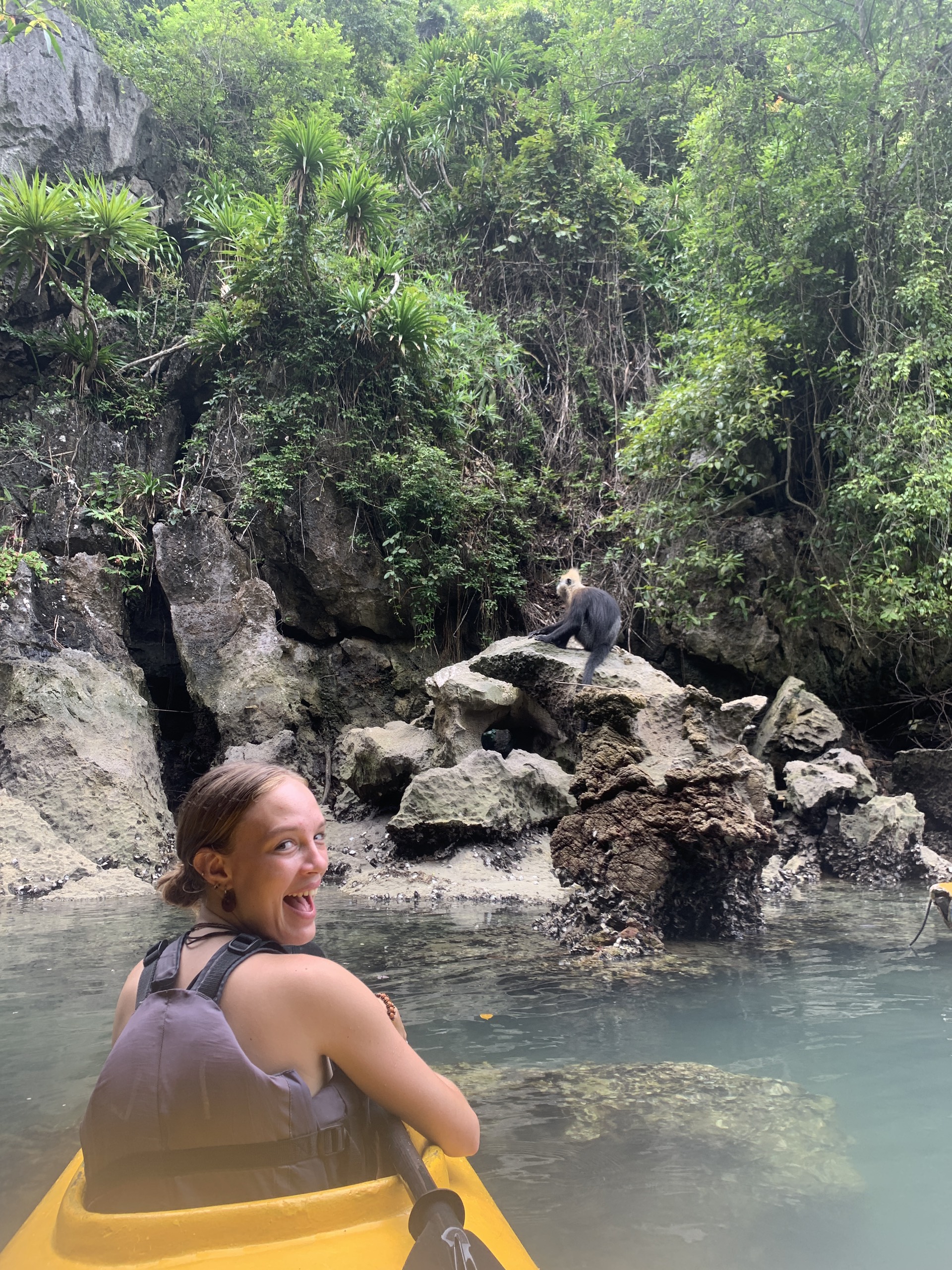 Wildlife encounter: kayaker spots a monkey on limestone rocks in Lan Ha Bay