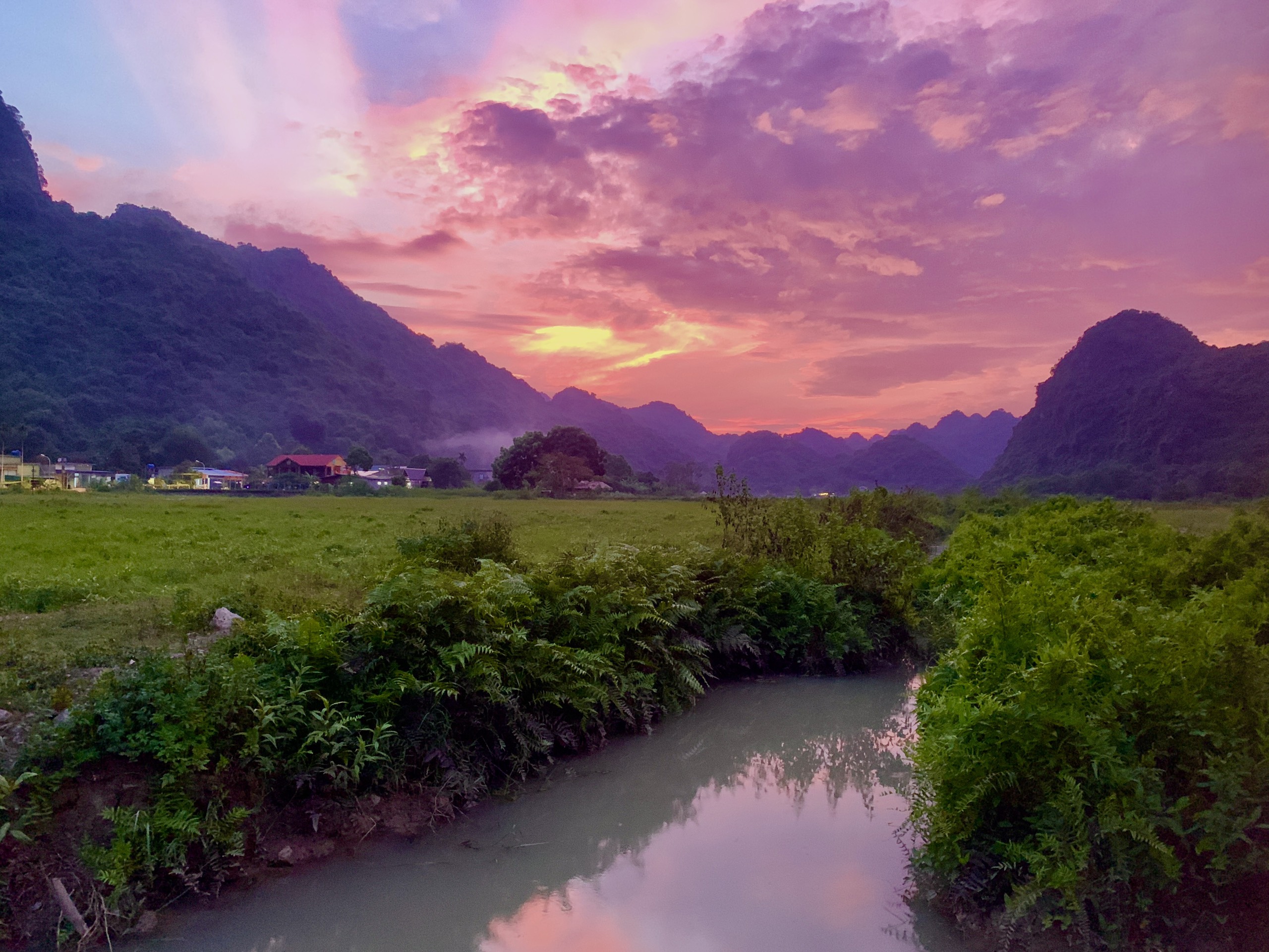 Sunset over Viet Hai valley rice fields with purple sky, Cat Ba National Park