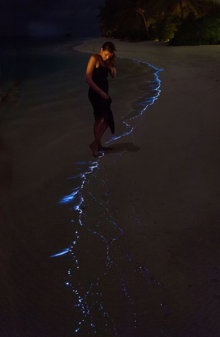 Bioluminescent plankton glowing at the water's edge on a night beach, Lan Ha Bay