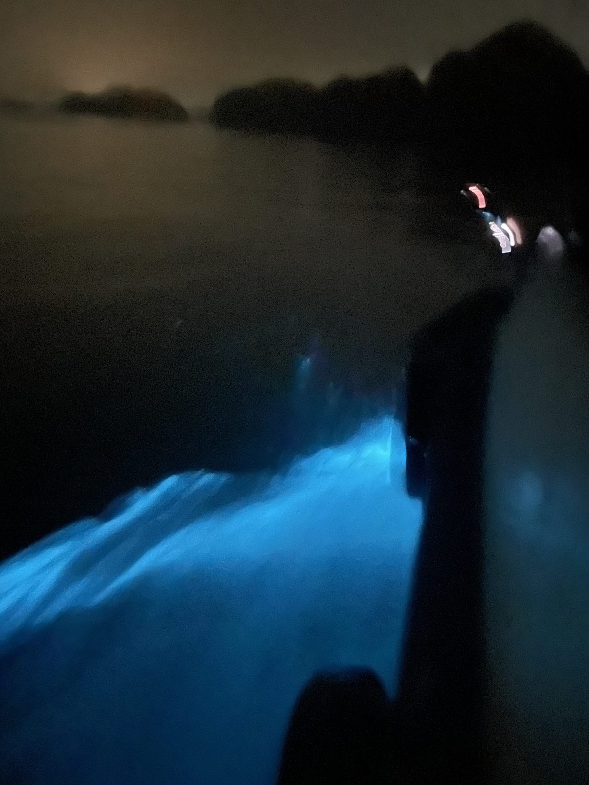 Bioluminescent plankton glowing blue around a kayak paddle at night in Lan Ha Bay