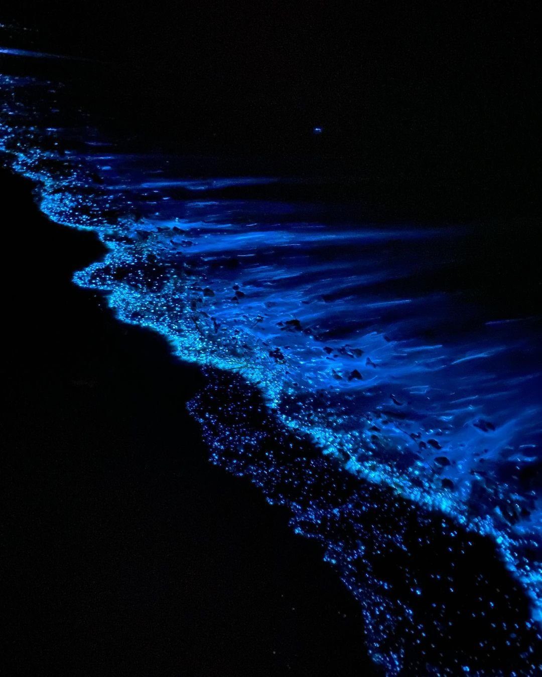 Bioluminescent shoreline glowing blue at night in Lan Ha Bay