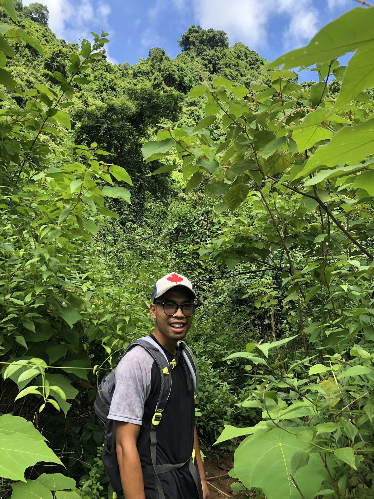 Local guide standing in dense jungle undergrowth in Cat Ba National Park