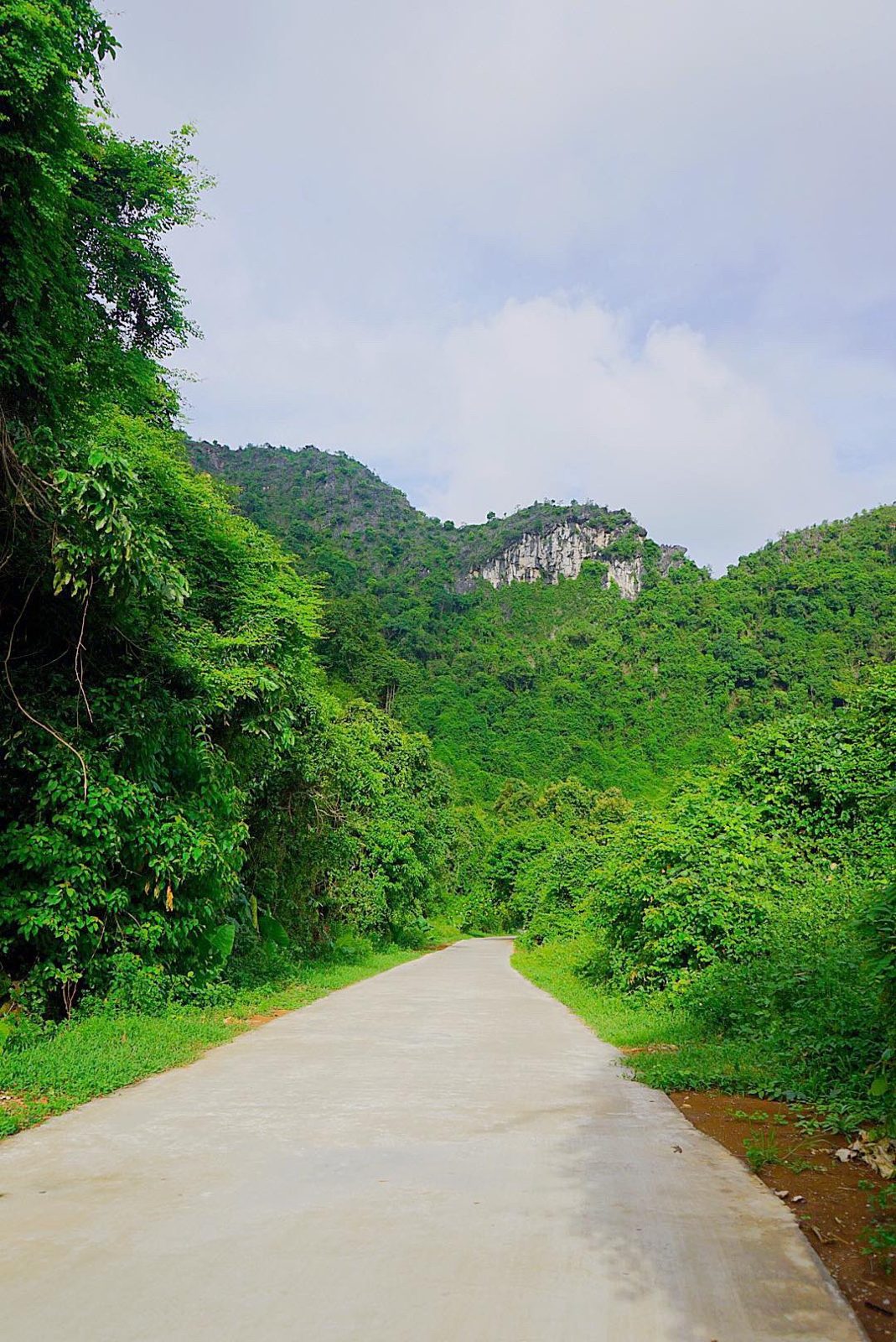 Empty road between jungle-covered limestone hills on Cat Ba Island