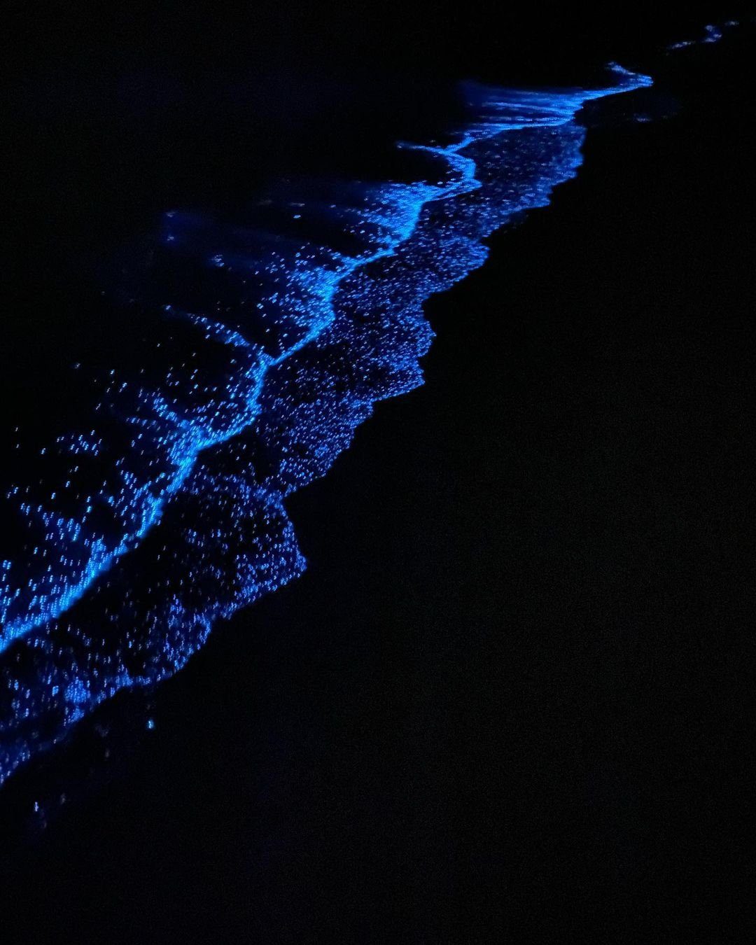 Glowing blue waves breaking at night in Lan Ha Bay