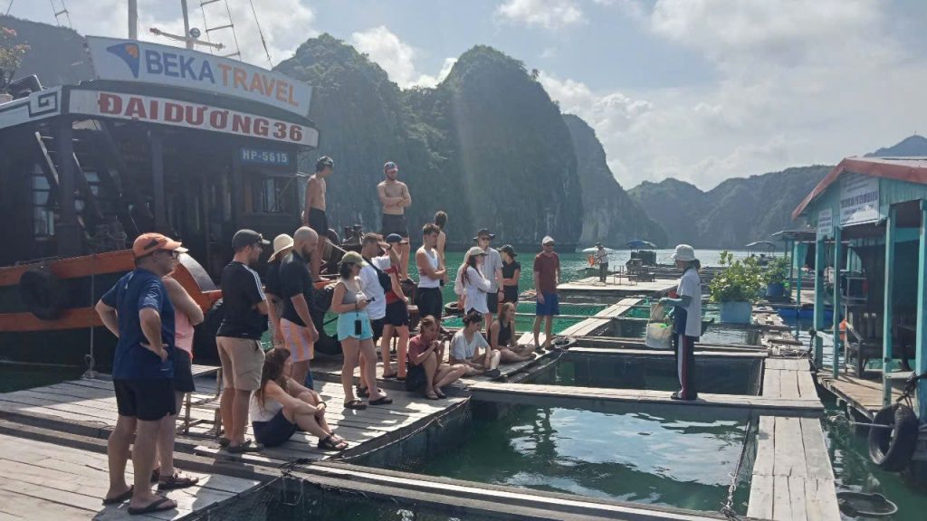 Group walking along a floating fishing village pontoon, Lan Ha Bay