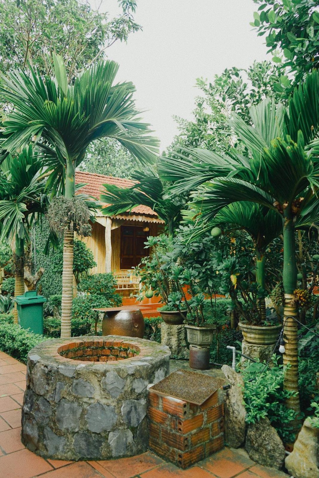 Garden with palms and stone water feature at a homestay in Viet Hai Village