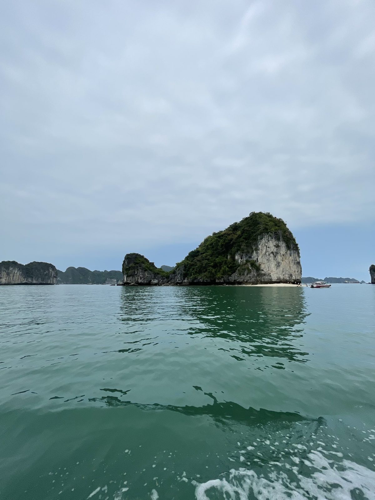 Limestone island rising out of the green water of Lan Ha Bay, seen from a boat