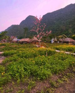 Lan Homestay bungalows and garden at dusk, Viet Hai Village