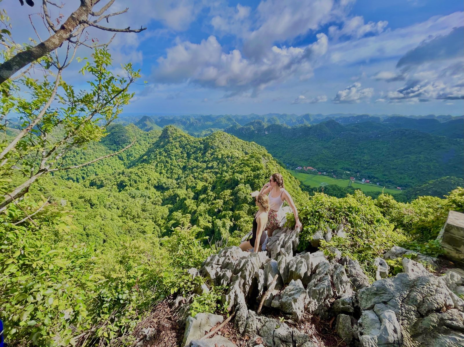 Macaque sitting on limestone rocks in Cat Ba National Park