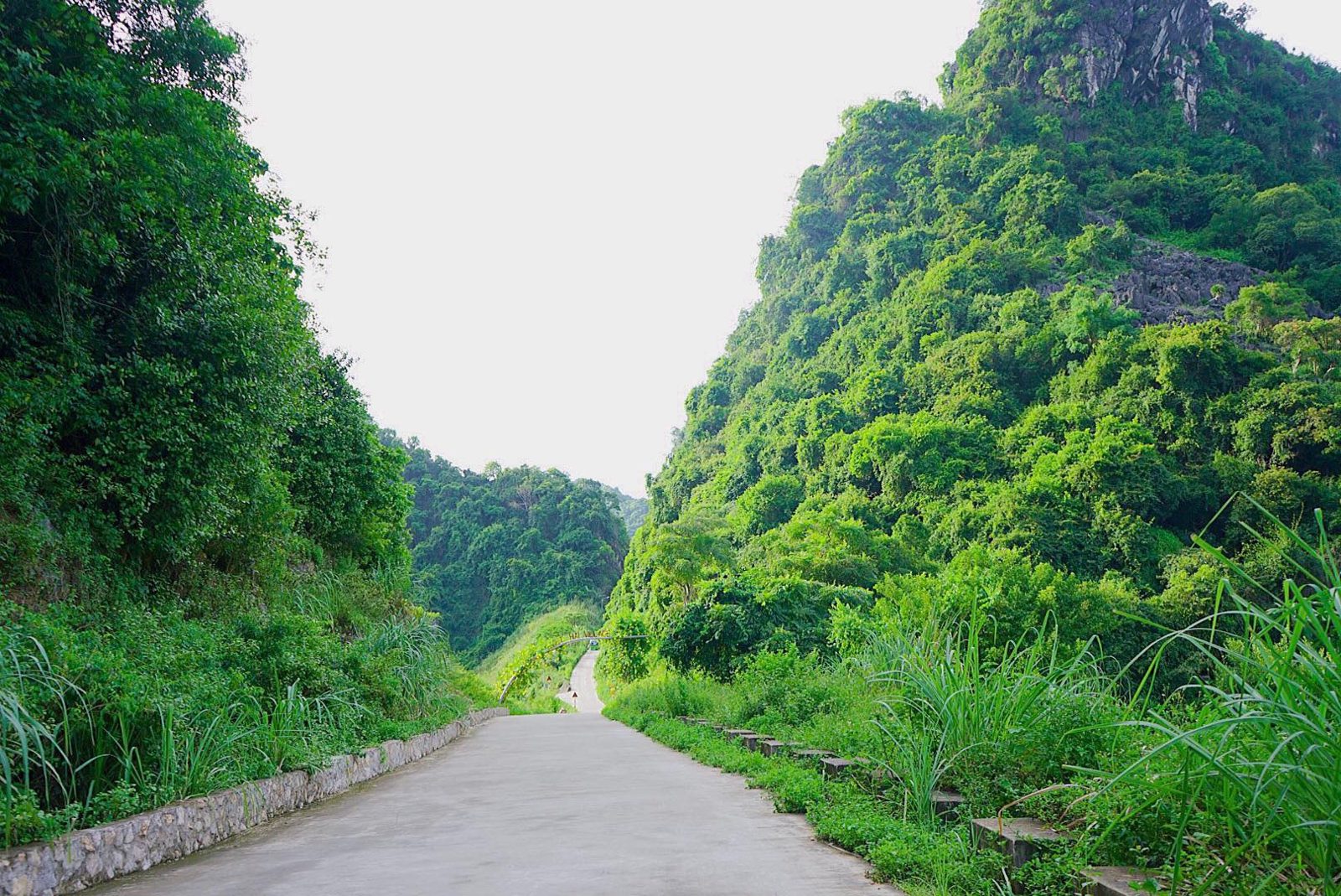 Quiet road through a limestone valley on Cat Ba Island