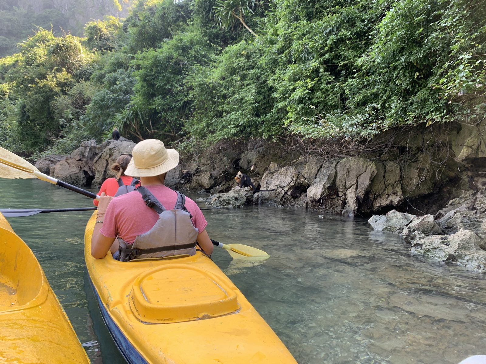 Solo kayaker in a sun hat paddling beside a limestone cliff, Lan Ha Bay