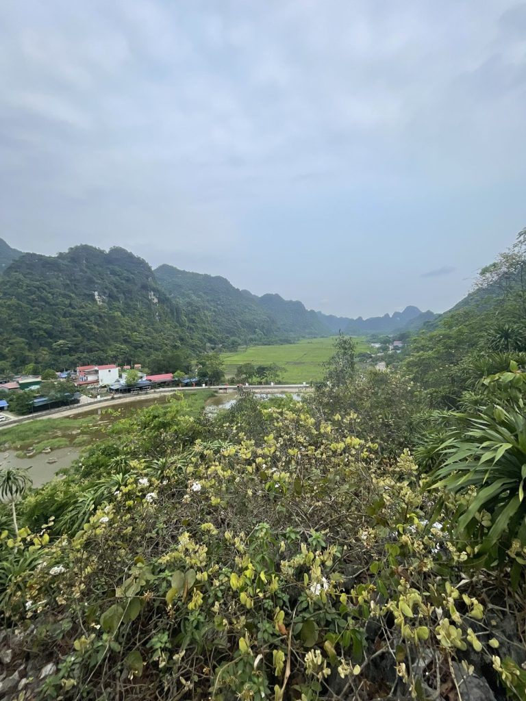 Viet Hai valley seen from above, with village houses, rice fields and limestone mountains