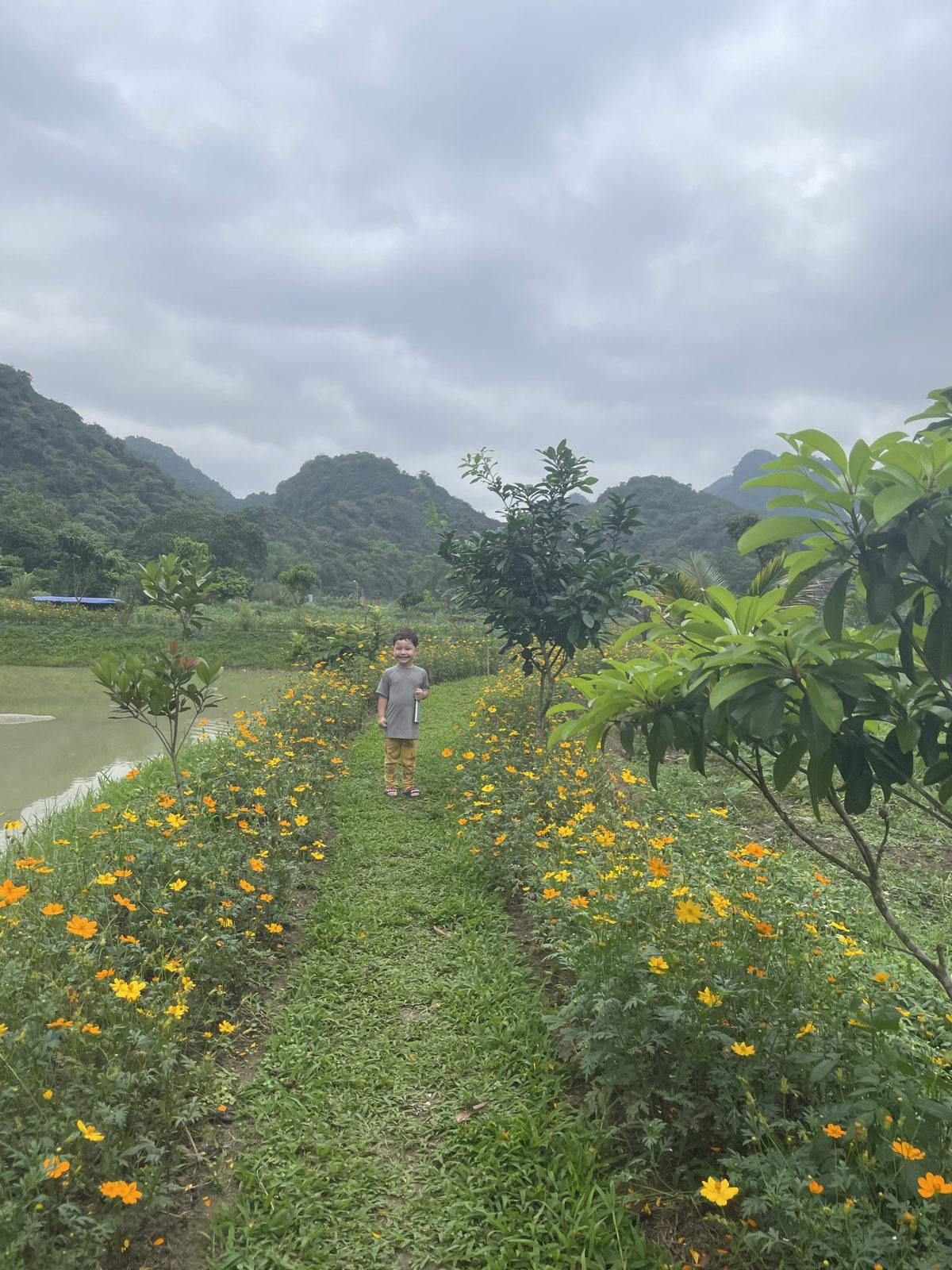 Visitor walking between rows of flowers in a Viet Hai Village garden plot