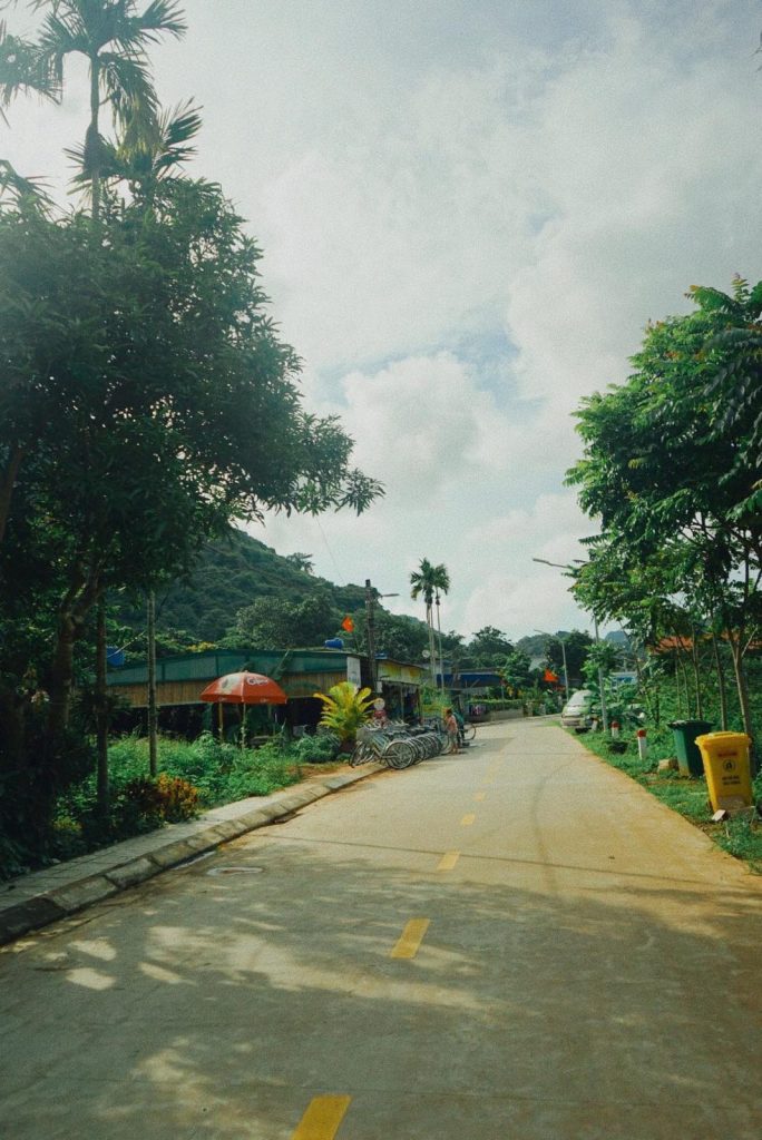 Quiet road running through Viet Hai Village between jungle hills, Cat Ba Island
